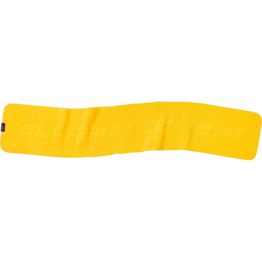 Details on Polartec Scarf Yellow from fall winter 2019 (Price is $48)