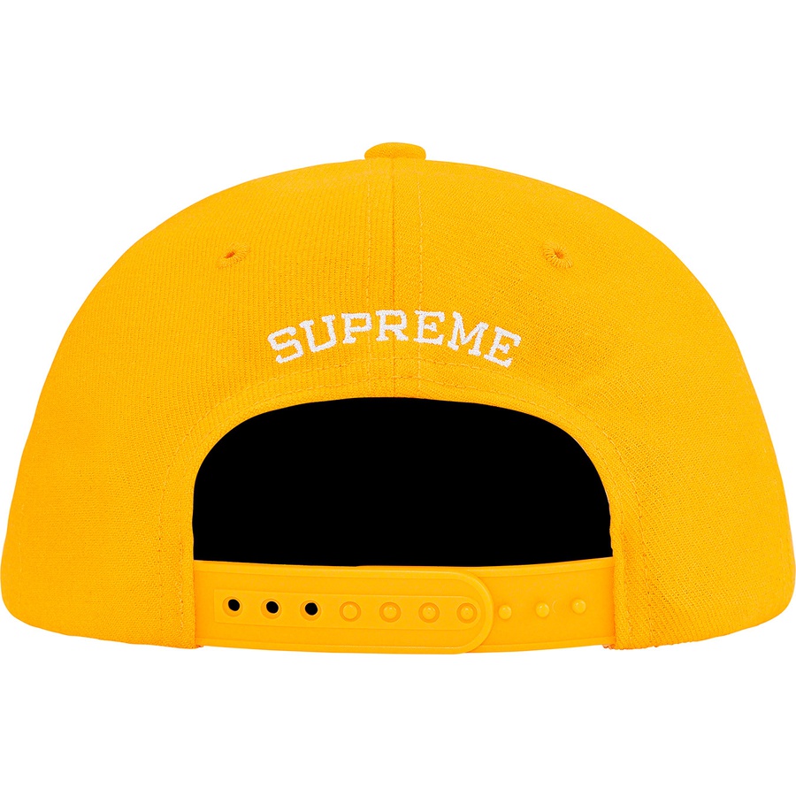 Details on Shadow 6-Panel Gold from fall winter 2019 (Price is $44)