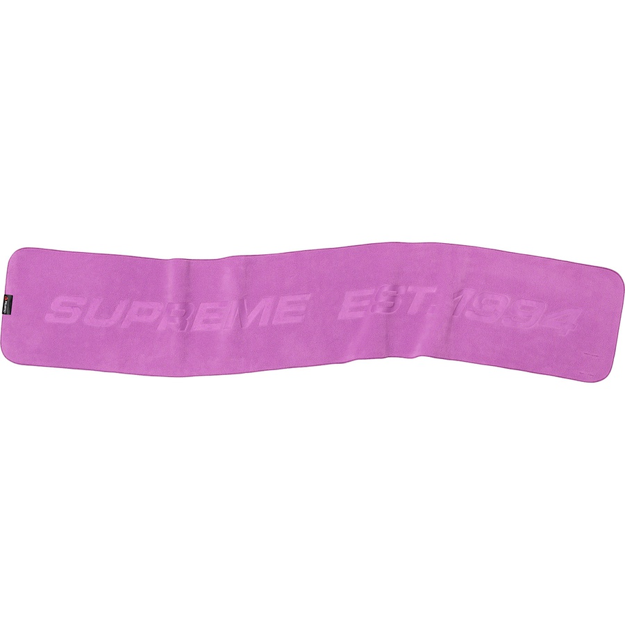 Details on Polartec Scarf Purple from fall winter 2019 (Price is $48)