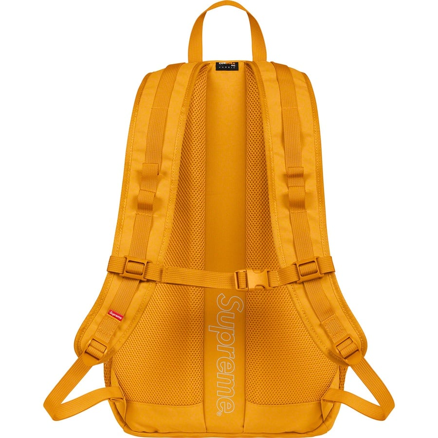 Details on Backpack Gold from spring summer
                                                    2020 (Price is $148)