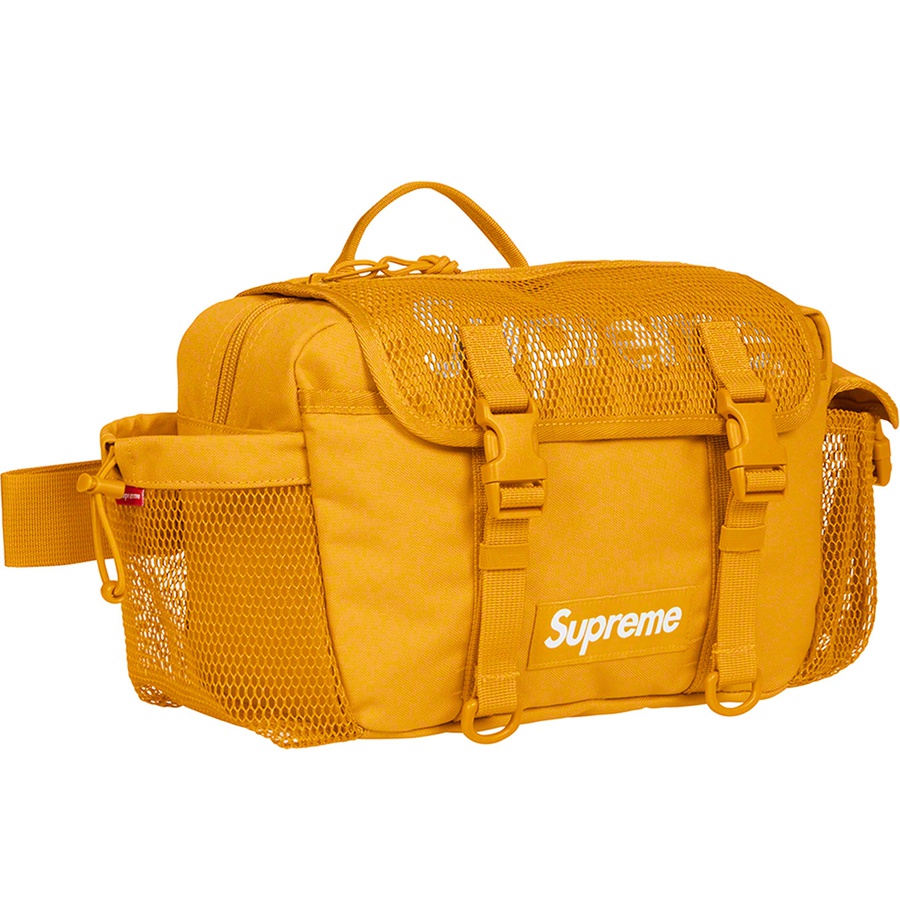 Details on Waist Bag Gold from spring summer
                                                    2020 (Price is $98)