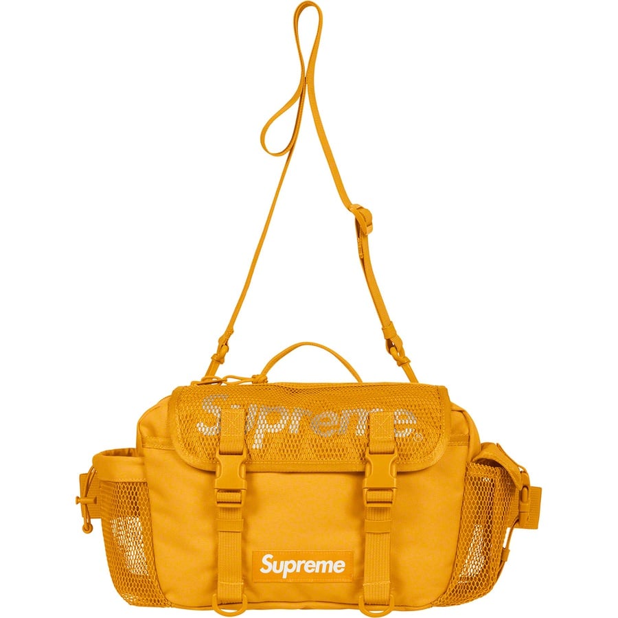 Details on Waist Bag Gold from spring summer
                                                    2020 (Price is $98)