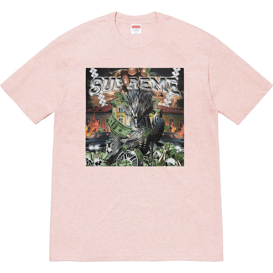 Details on Dragon Tee Heather Pink from spring summer
                                                    2020 (Price is $38)