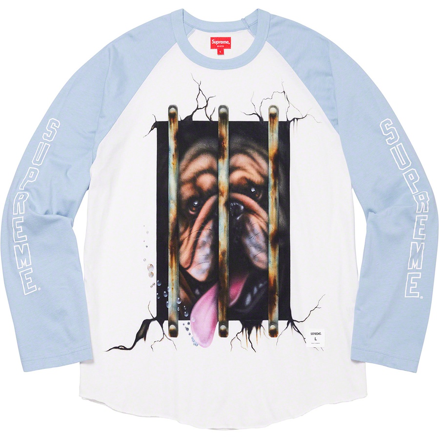 Details on Dog Raglan L S Top Blue from spring summer
                                                    2020 (Price is $98)