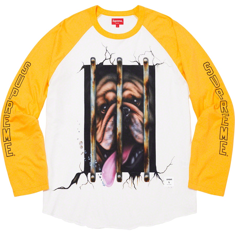 Details on Dog Raglan L S Top Yellow from spring summer
                                                    2020 (Price is $98)