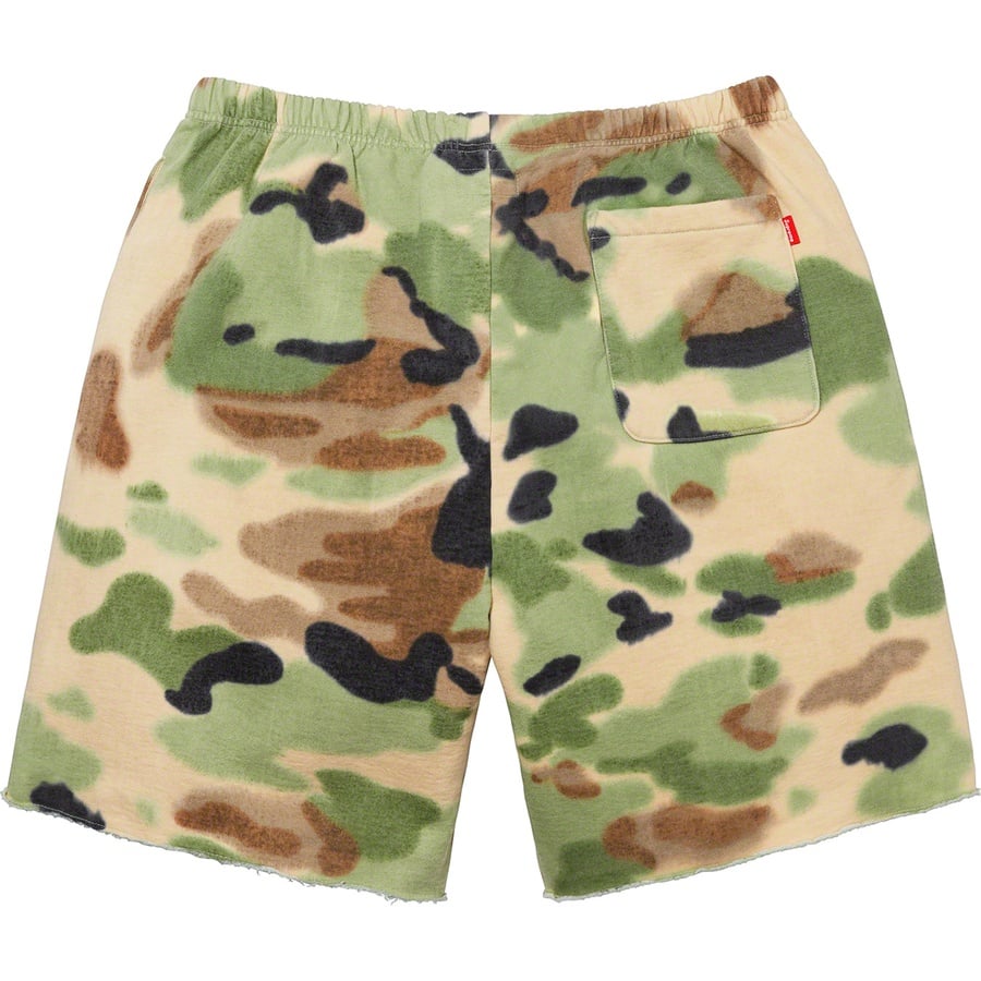 Details on Overdyed Sweatshort Painted Camo from spring summer
                                                    2020 (Price is $118)