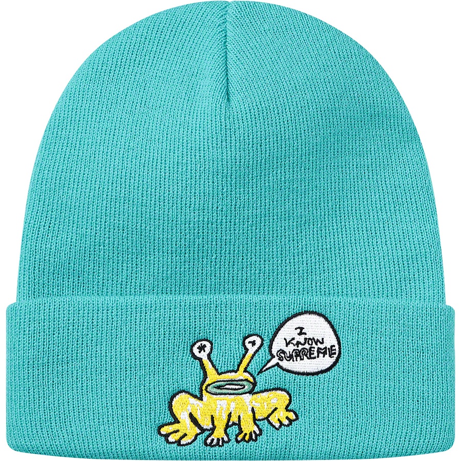 Details on Daniel Johnston Beanie Turquoise from spring summer
                                                    2020 (Price is $36)
