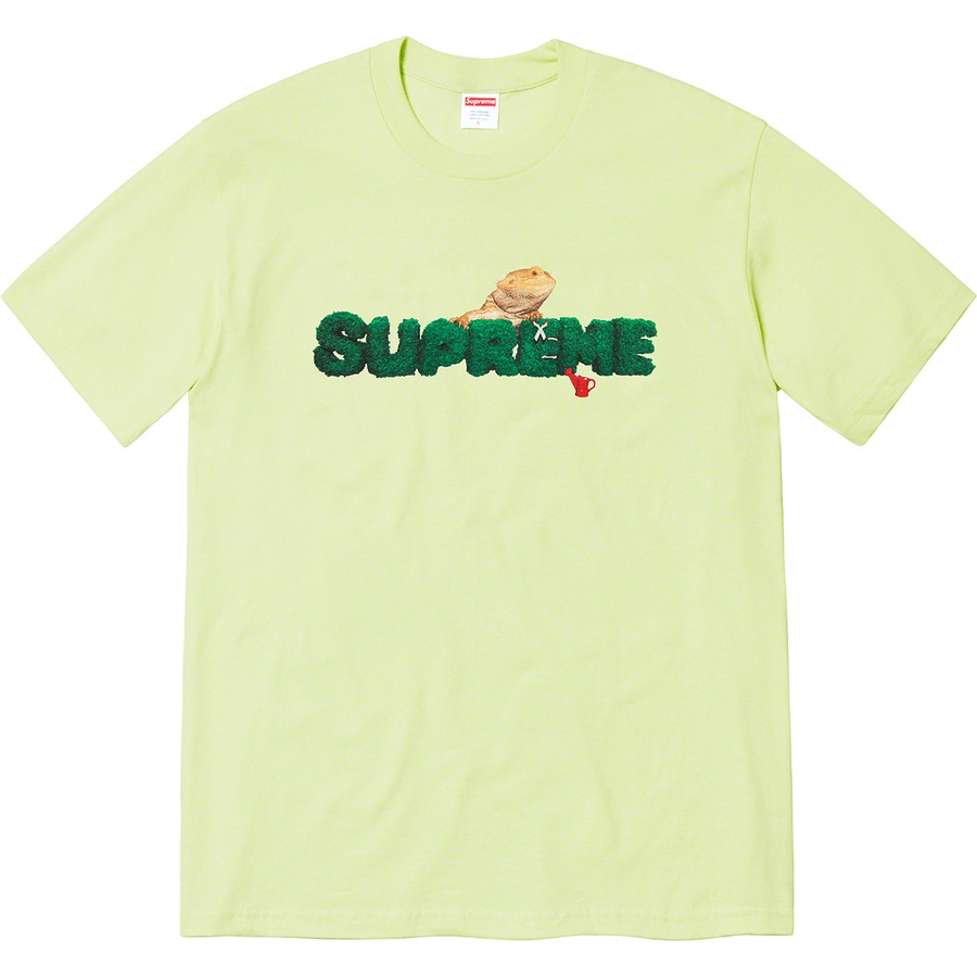 Details on Lizard Tee Pale Mint from spring summer 2020 (Price is $38)