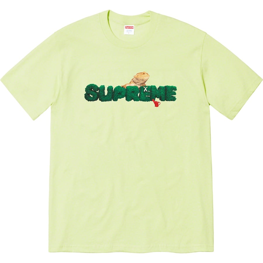 Details on Lizard Tee Pale Mint from spring summer
                                                    2020 (Price is $38)