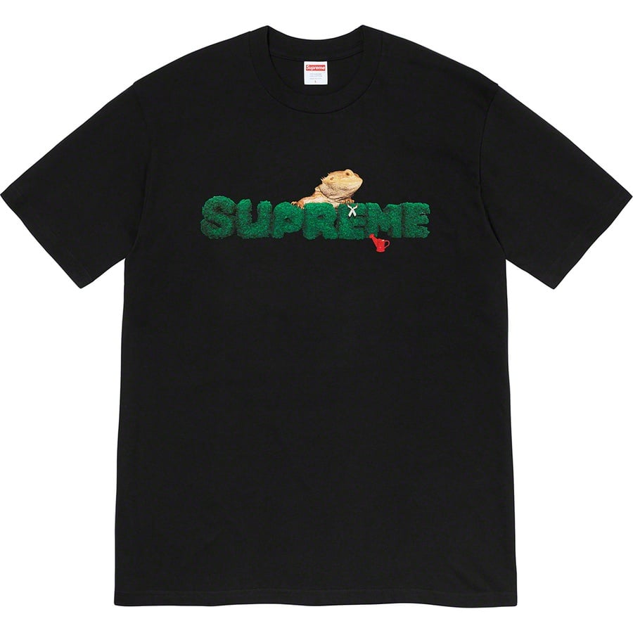 Details on Lizard Tee Black from spring summer
                                                    2020 (Price is $38)