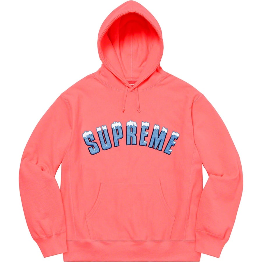 Details on Icy Arc Hooded Sweatshirt Bright Coral from fall winter
                                                    2020 (Price is $168)