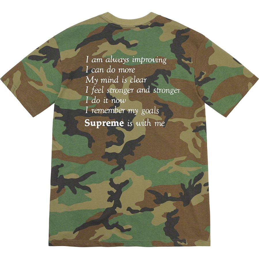 Details on Stay Positive Tee Woodland Camo from fall winter 2020 (Price is $38)