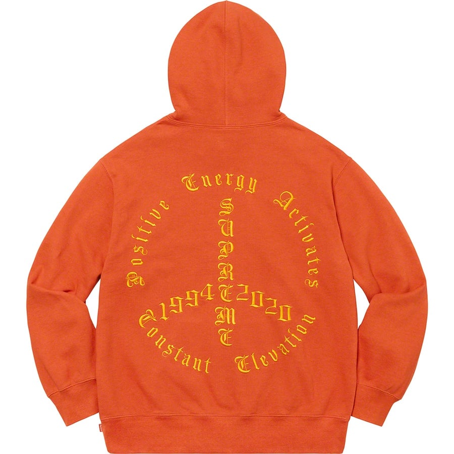 Details on Peace Hooded Sweatshirt Burnt Orange from fall winter
                                                    2020 (Price is $168)