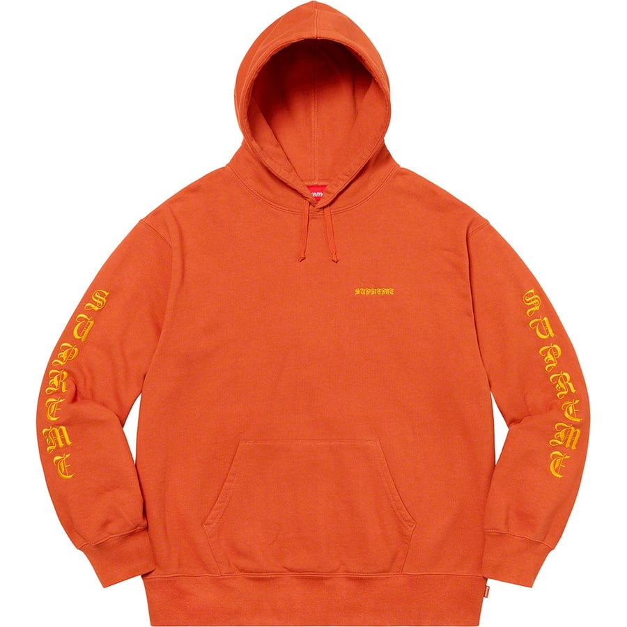 Details on Peace Hooded Sweatshirt Burnt Orange from fall winter
                                                    2020 (Price is $168)