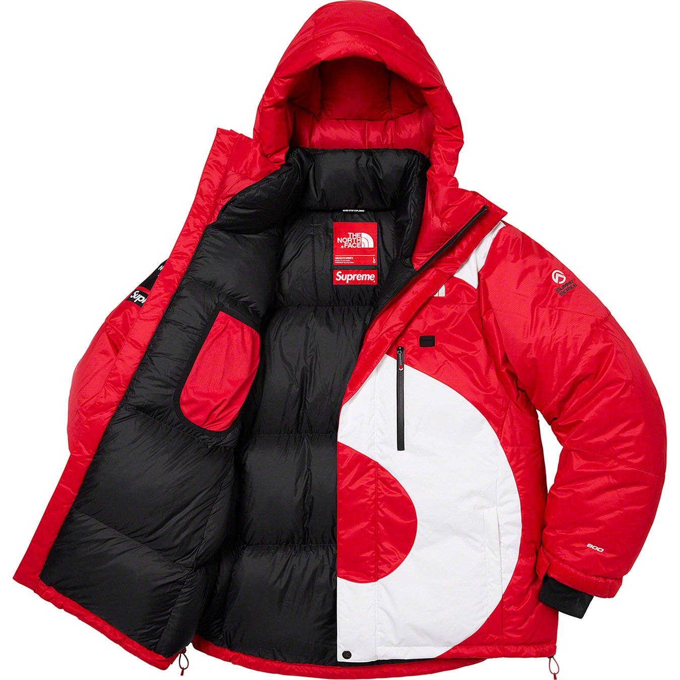 The North Face S Logo Summit Series Himalayan Parka - fall winter