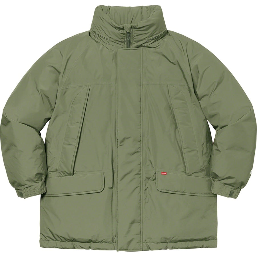 Details on GORE-TEX 700-Fill Down Parka Light Olive from fall winter
                                                    2020 (Price is $548)