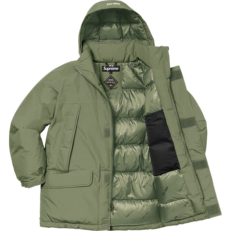 Details on GORE-TEX 700-Fill Down Parka Light Olive from fall winter
                                                    2020 (Price is $548)