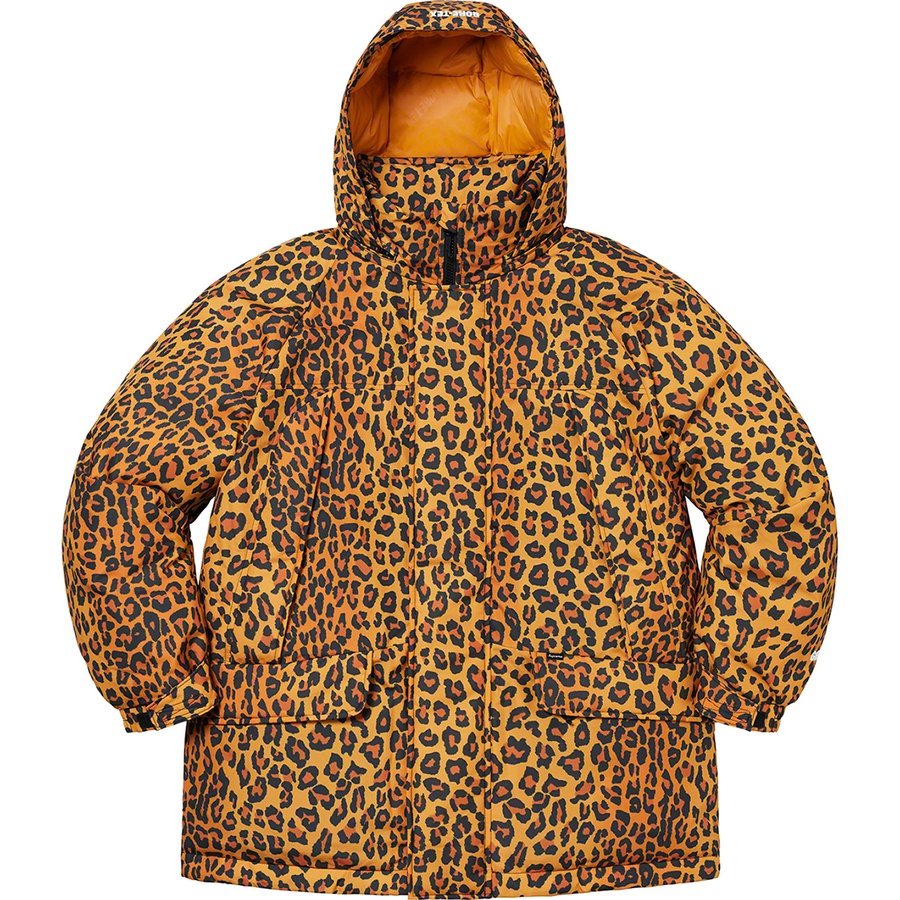 Details on GORE-TEX 700-Fill Down Parka Leopard from fall winter
                                                    2020 (Price is $548)