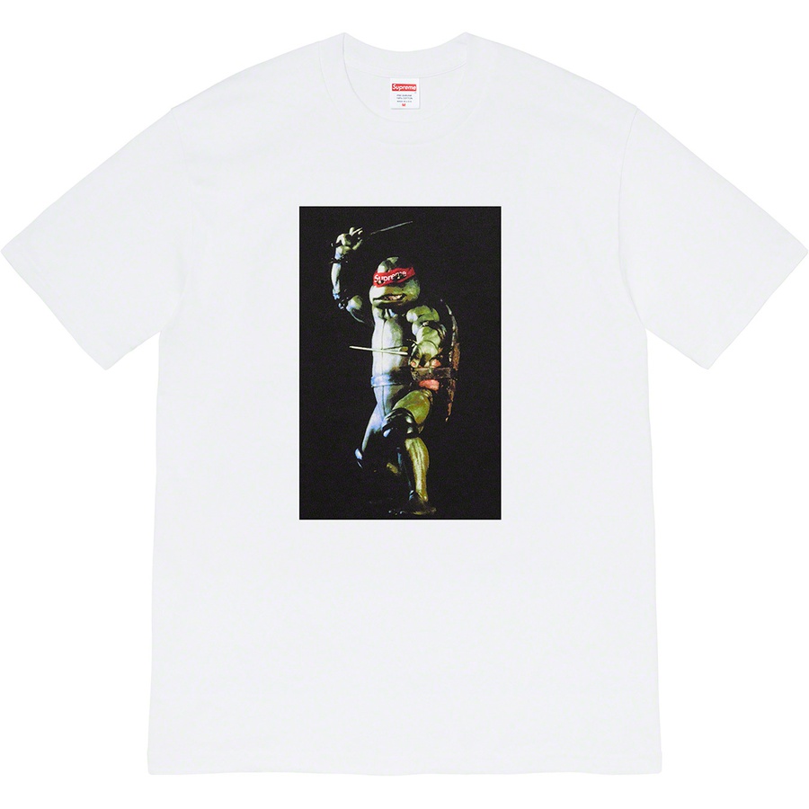 Details on Raphael Tee White from spring summer
                                                    2021 (Price is $44)