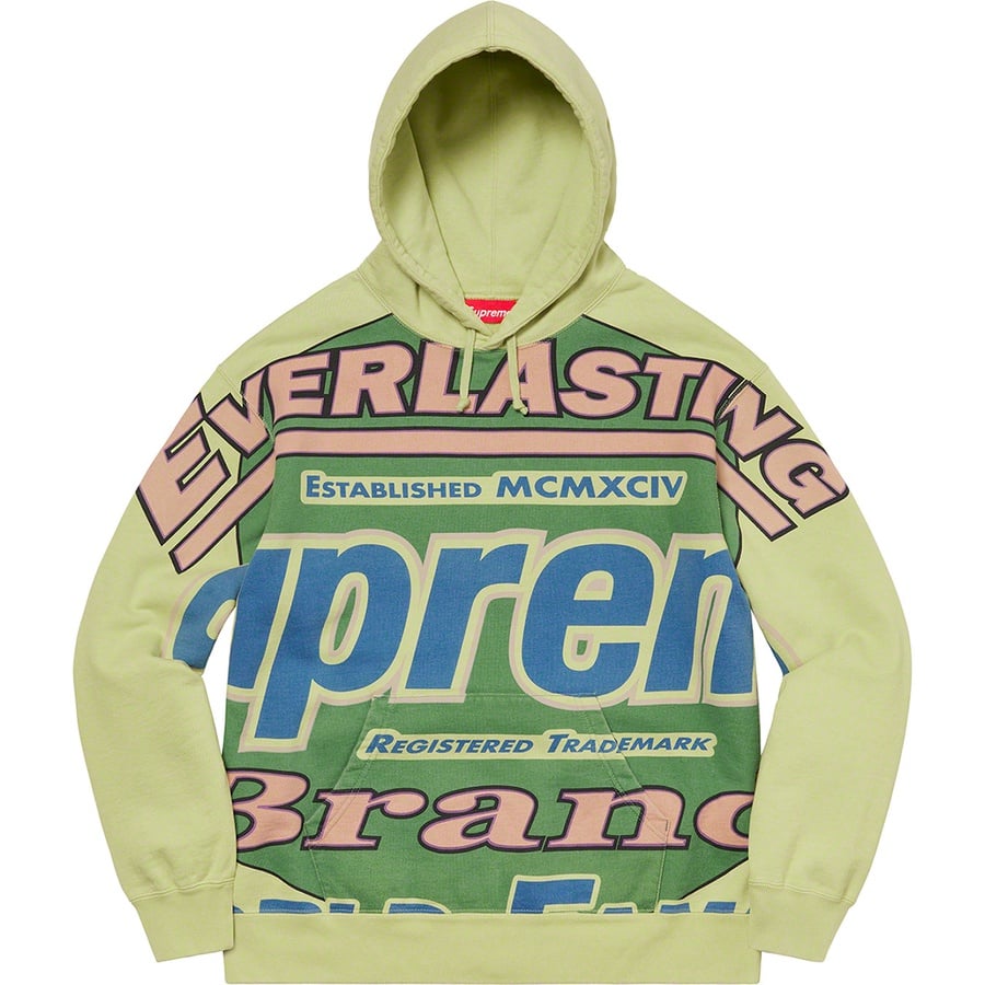 Details on Everlasting Hooded Sweatshirt Light Sage from spring summer
                                                    2021 (Price is $158)