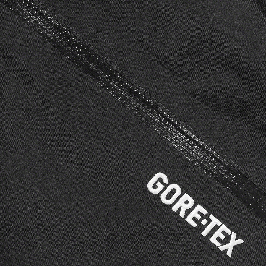 Details on GORE-TEX Paclite Pant Black from spring summer
                                                    2021 (Price is $228)