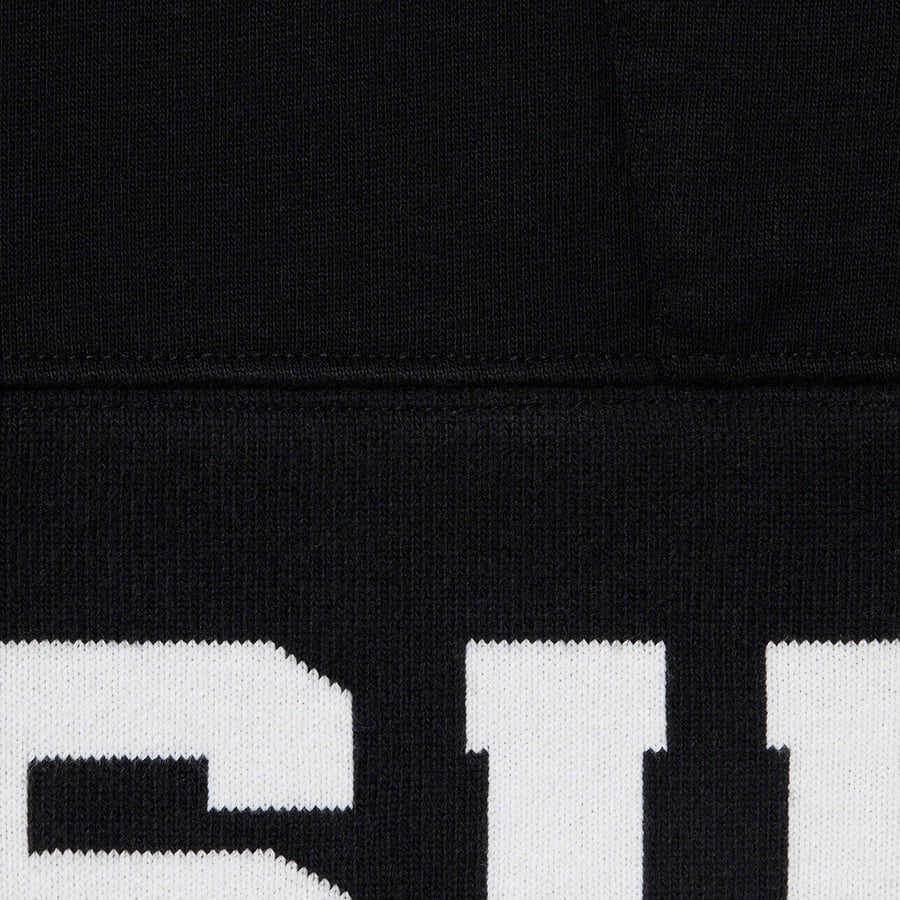 Details on Cropped Logos Hooded Sweatshirt Black from spring summer
                                                    2021 (Price is $158)