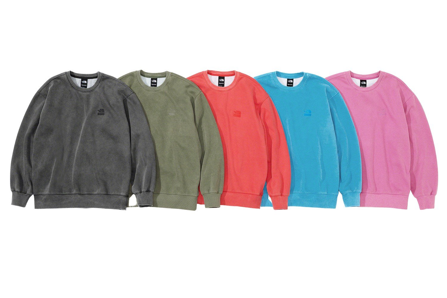 Supreme the north face Pigment Printed-