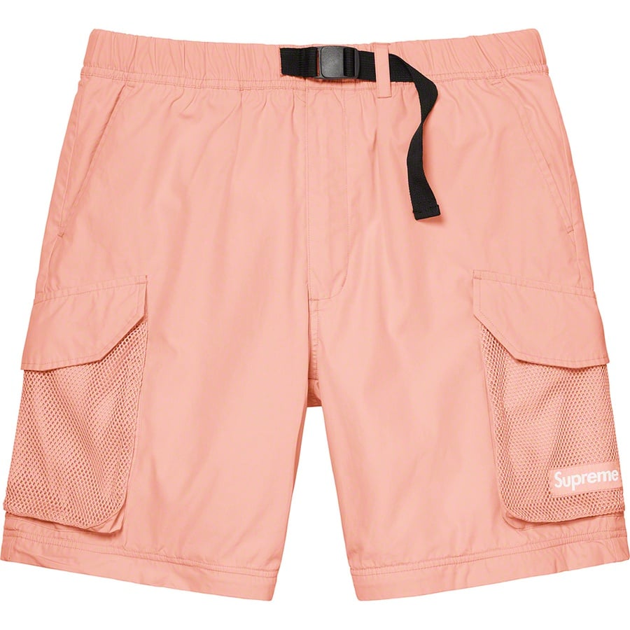 Details on Mesh Pocket Belted Cargo Pant Dusty Pink from spring summer
                                                    2021 (Price is $198)