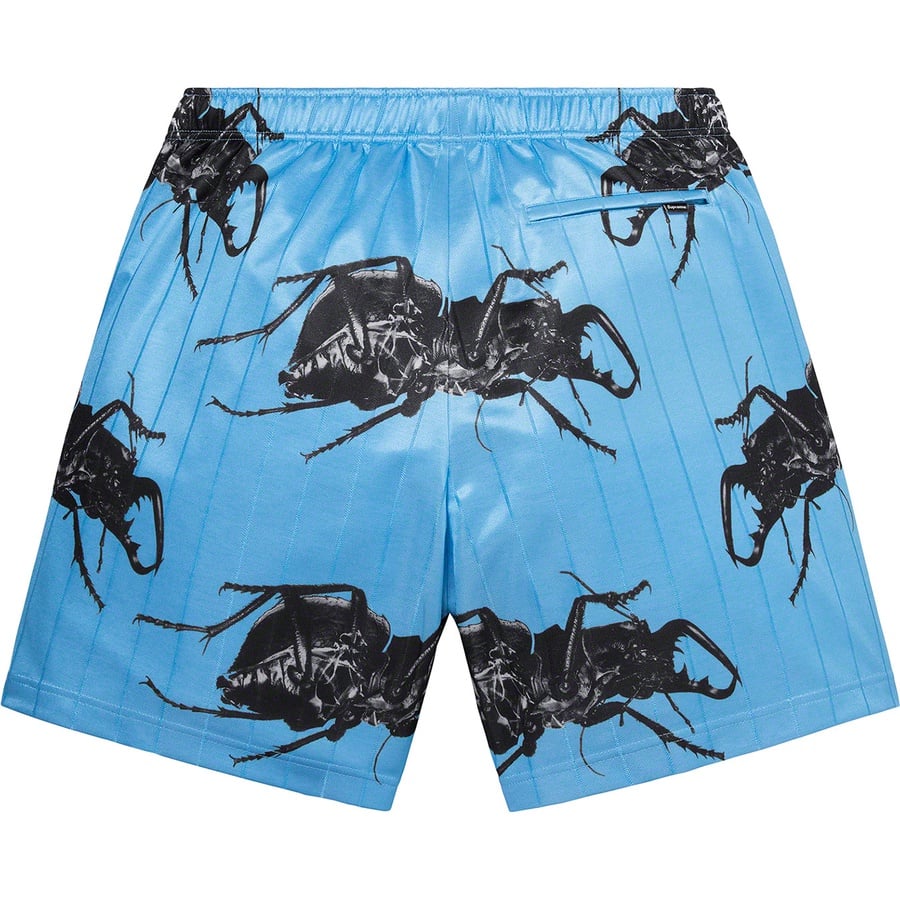 Details on Beetle Short Blue from spring summer
                                                    2021 (Price is $118)