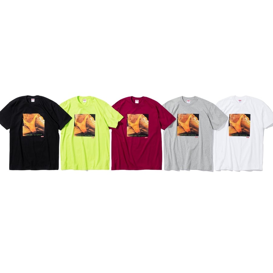 Supreme Supreme Butthole SurfersRembrandt Pussyhorse Tee released during spring summer 21 season