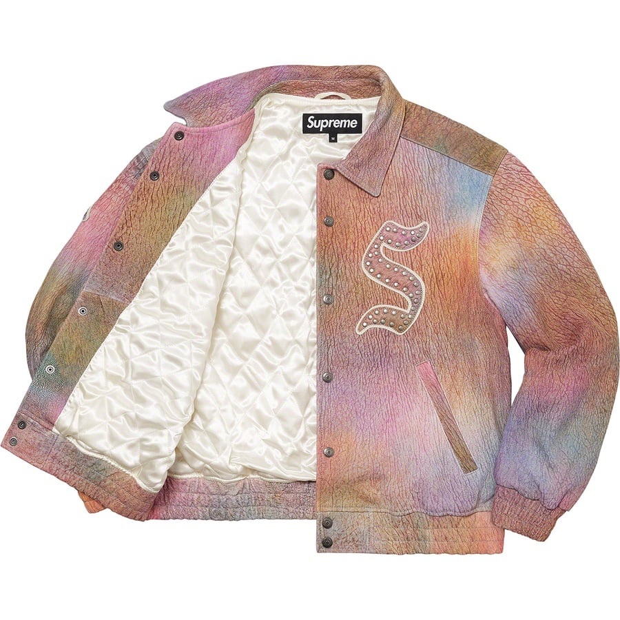 Details on Pebbled Leather Varsity Jacket Multicolor from fall winter
                                                    2021 (Price is $798)