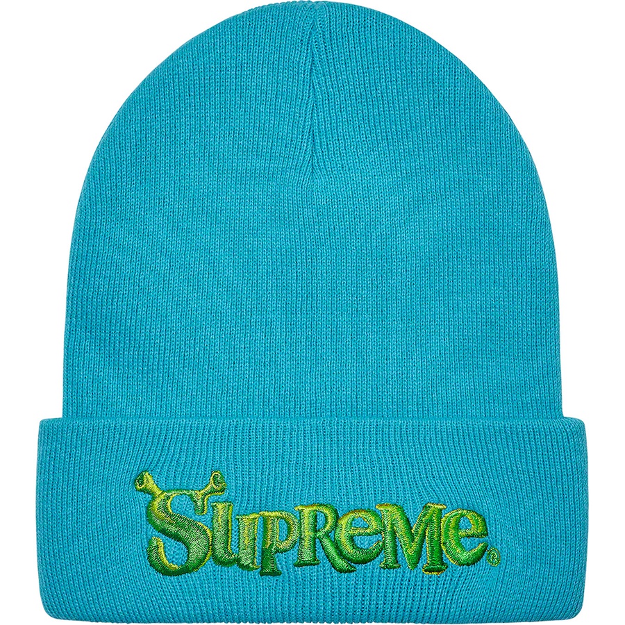 Details on Shrek Beanie Turquoise from fall winter
                                                    2021 (Price is $38)