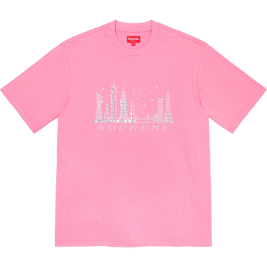 Details on Skyline S S Top Pink from fall winter 2021 (Price is $88)
