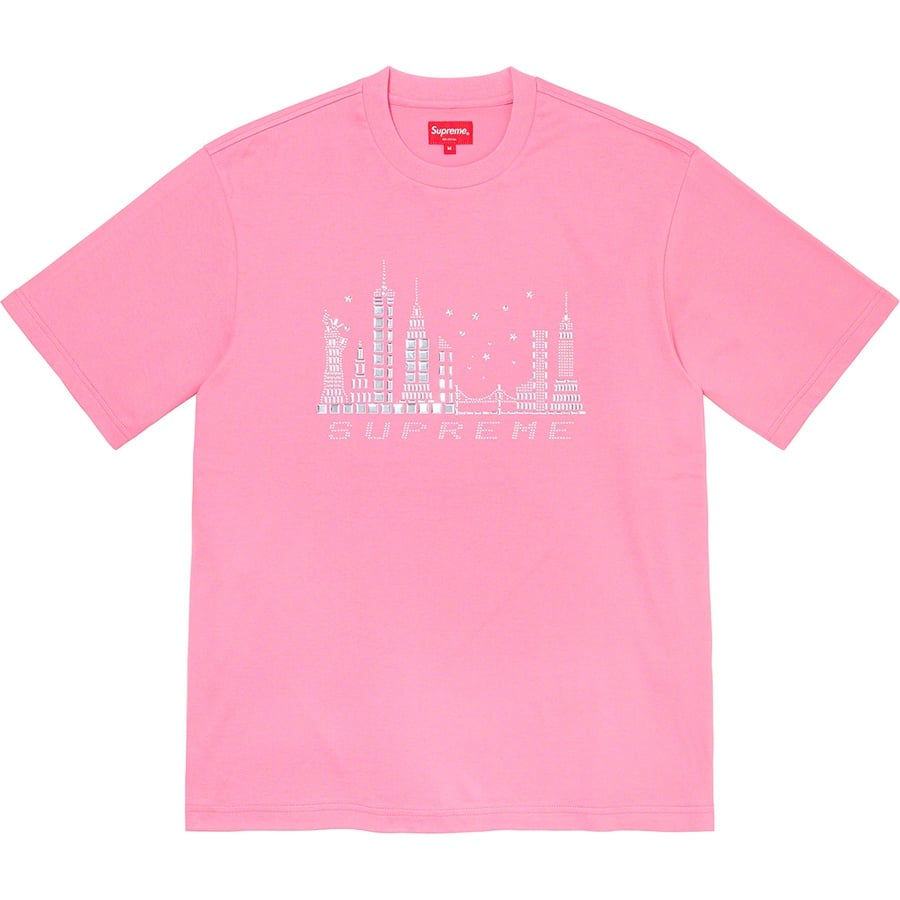 Details on Skyline S S Top Pink from fall winter
                                                    2021 (Price is $88)