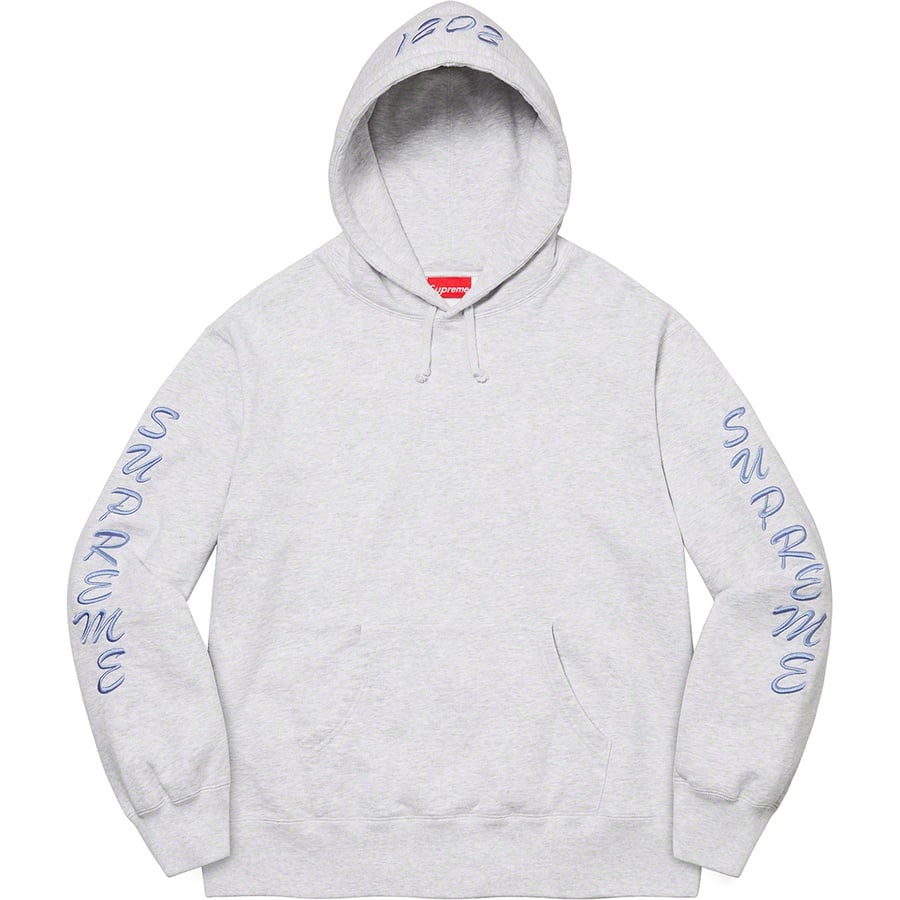 Details on Guardian Hooded Sweatshirt Ash Grey from fall winter 2021 (Price is $168)