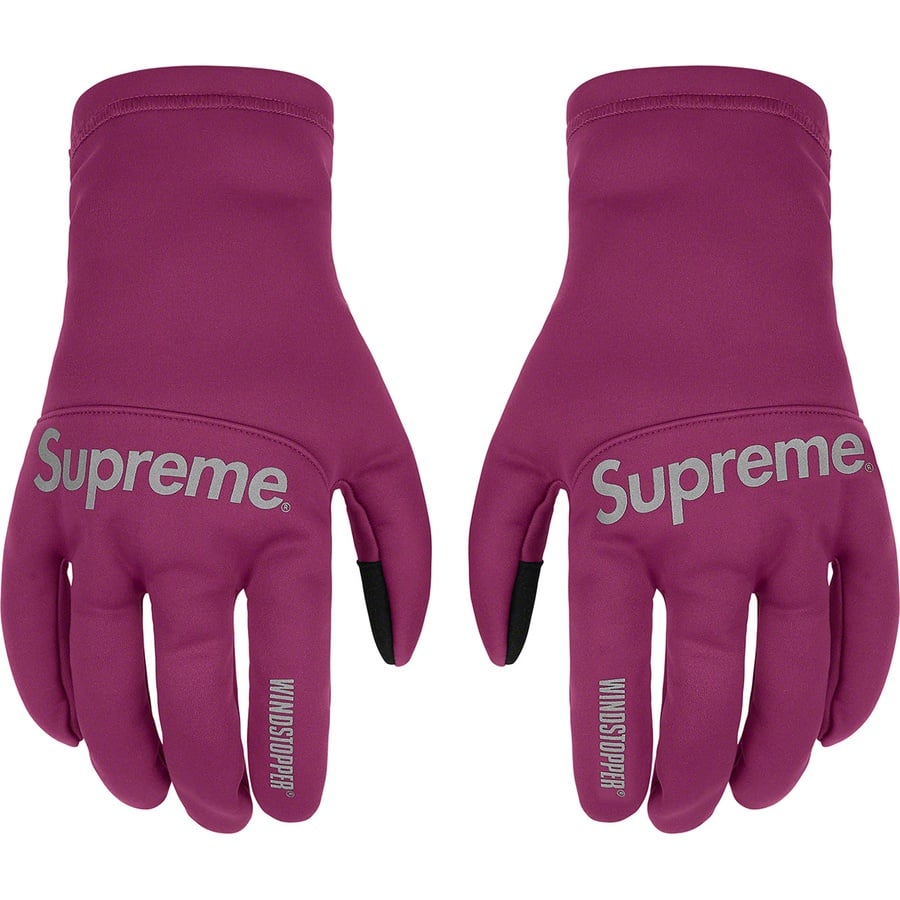 Details on WINDSTOPPER Gloves Purple from fall winter
                                                    2021 (Price is $58)