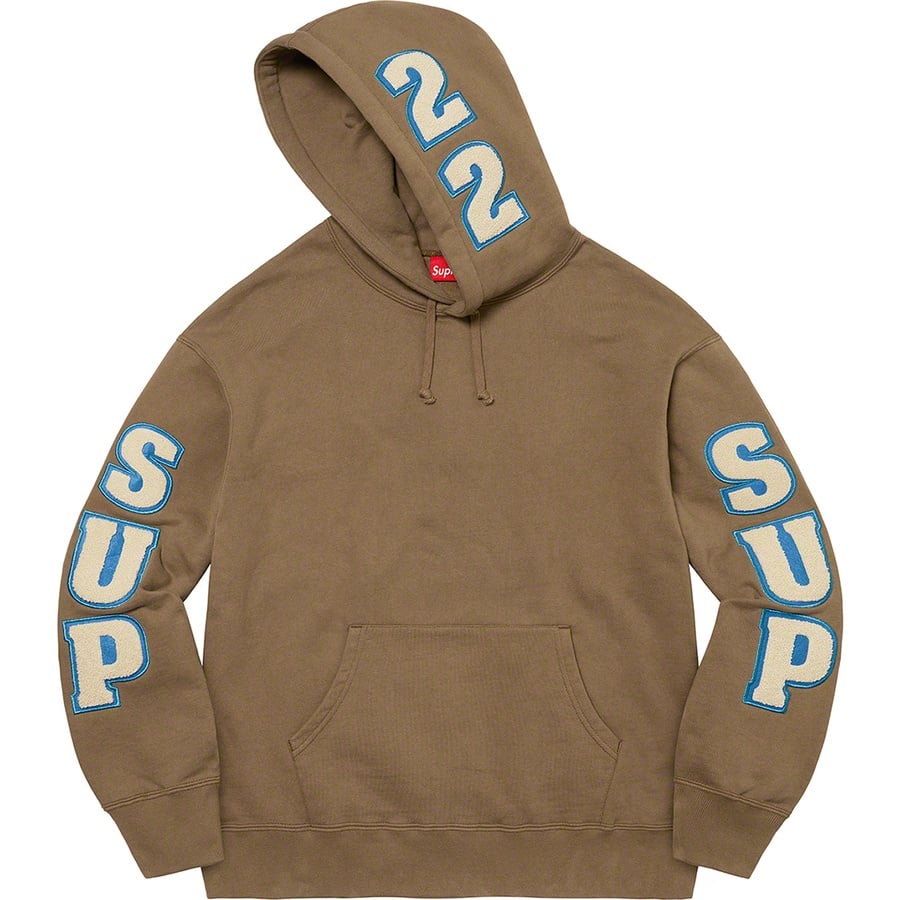 Details on Supreme Team Chenille Hooded Sweatshirt Olive Brown from spring summer
                                                    2022 (Price is $178)