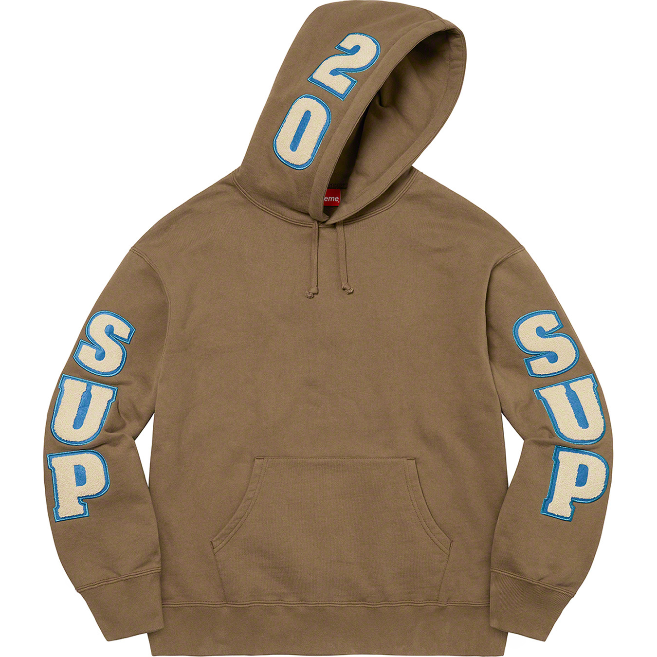 Supreme Team Chenille Hooded Sweatshirt 'Ash Grey