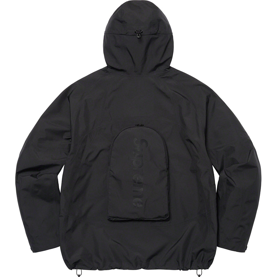 Details on GORE-TEX PACLITE Jacket Black from spring summer
                                                    2022 (Price is $348)