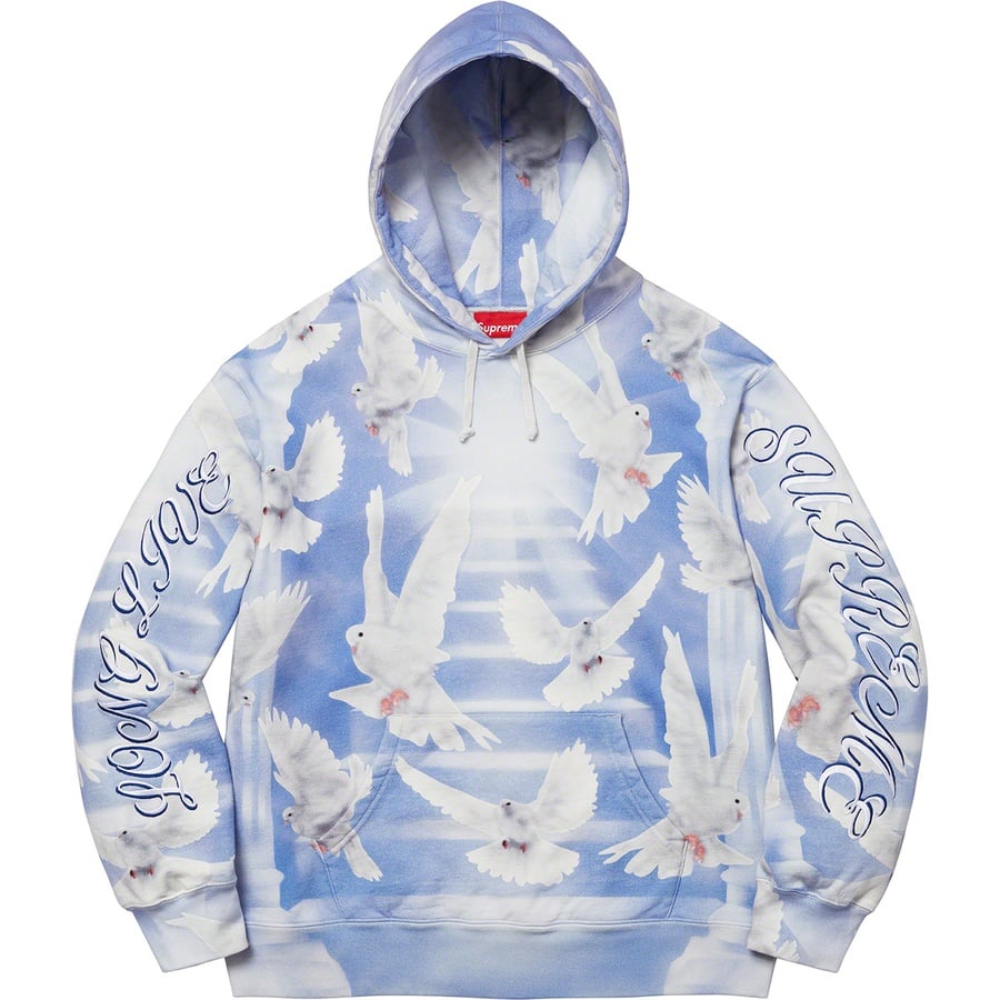 Details on Doves Hooded Sweatshirt Blue from spring summer 2022 (Price is $188)