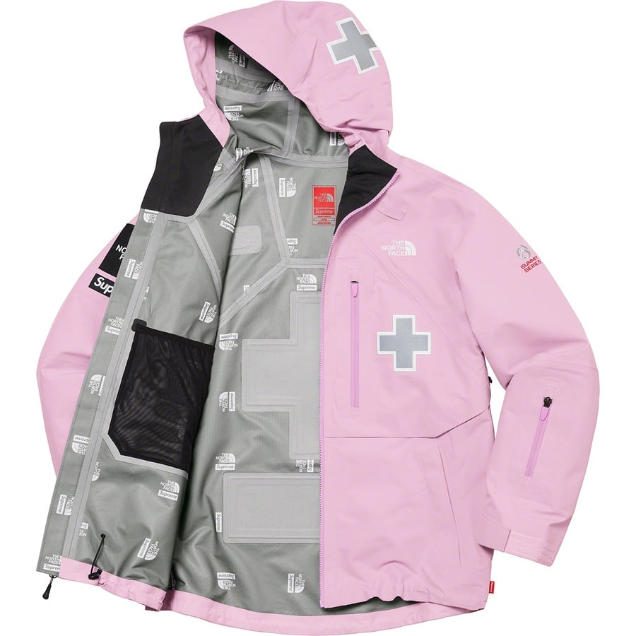 Details on Supreme The North FaceSummit Series Rescue Mountain Pro Jacket Light Purple from spring summer
                                                    2022 (Price is $398)