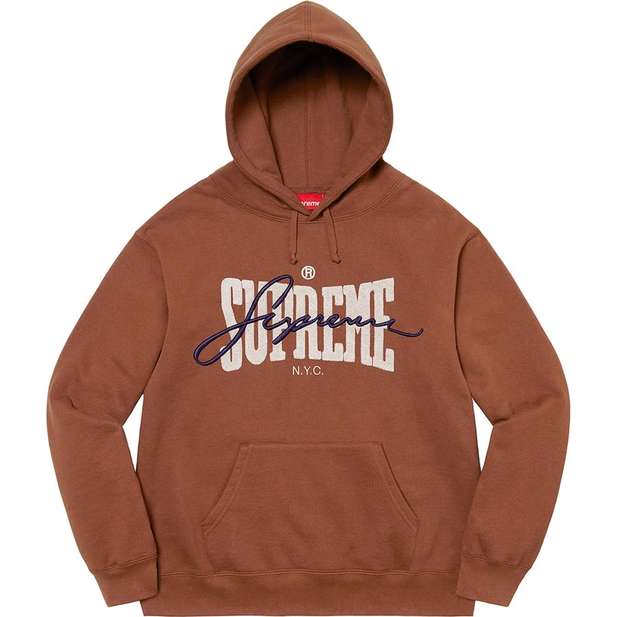 Details on Embroidered Chenille Hooded Sweatshirt Brown from spring summer
                                                    2022 (Price is $168)