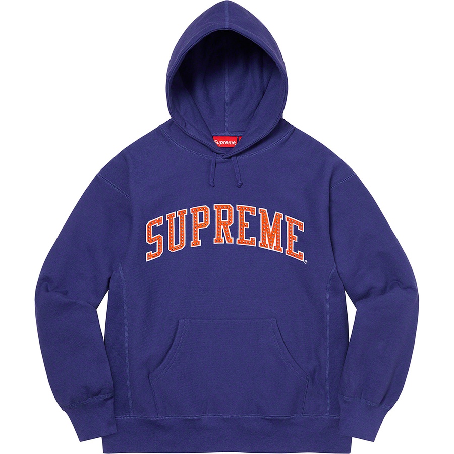 Arc hooded sweatshirt