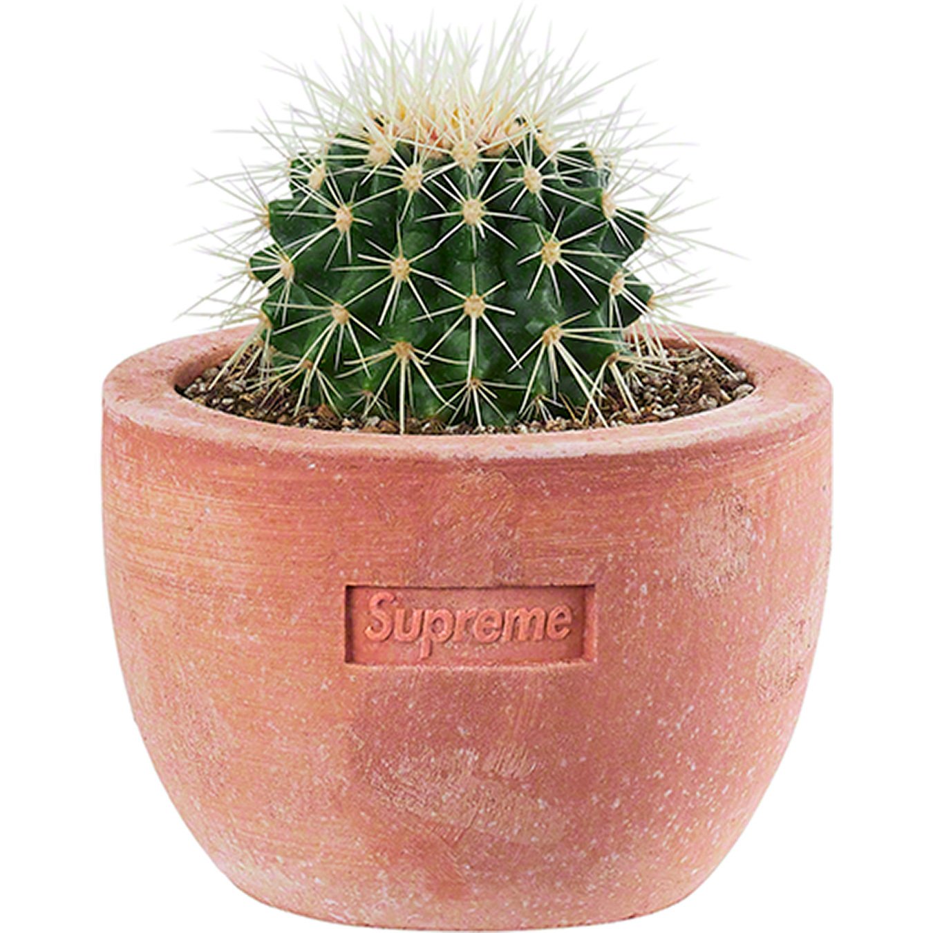 Poggi Ugo Small Planter - spring summer 2022 - Supreme