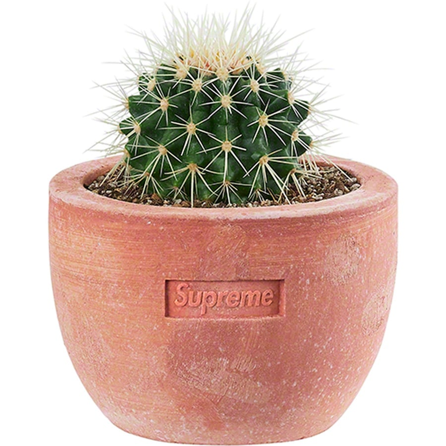Details on Supreme Poggi Ugo Small Planter from spring summer 2022 (Price is $48)