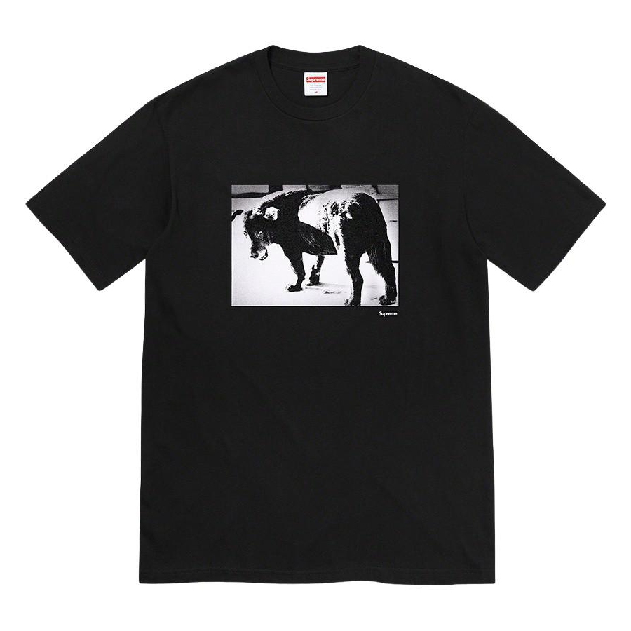 Supreme Daidō Moriyama Dog Tee releasing on Week 19 for spring summer 2022