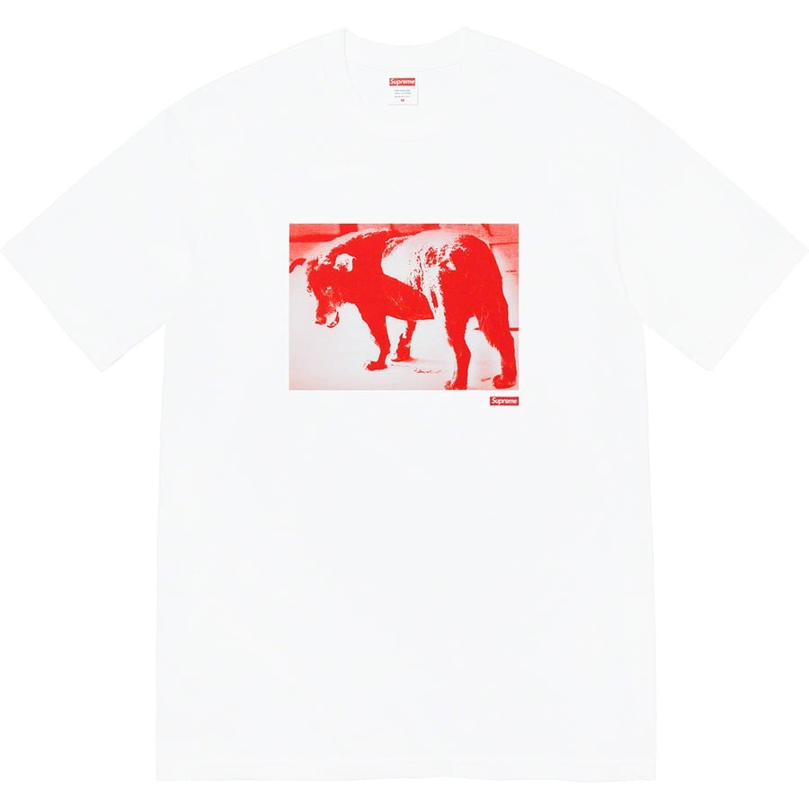 Details on Daidō Moriyama Dog Tee White from spring summer
                                                    2022 (Price is $48)