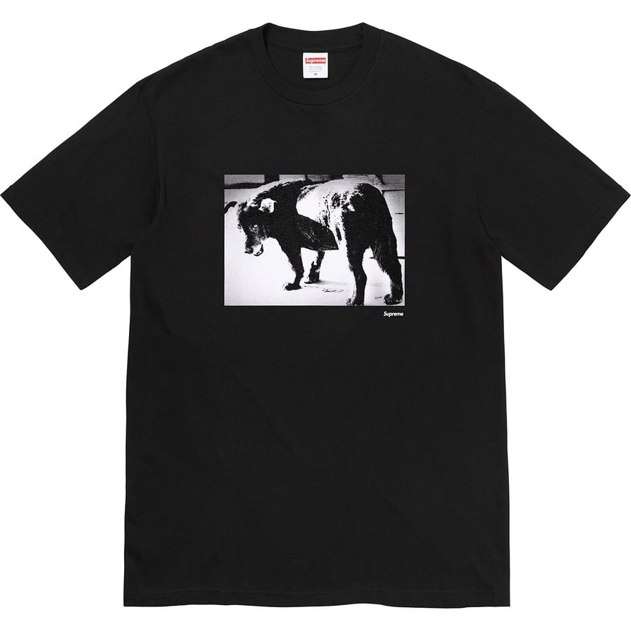 Details on Daidō Moriyama Dog Tee Black from spring summer
                                                    2022 (Price is $48)