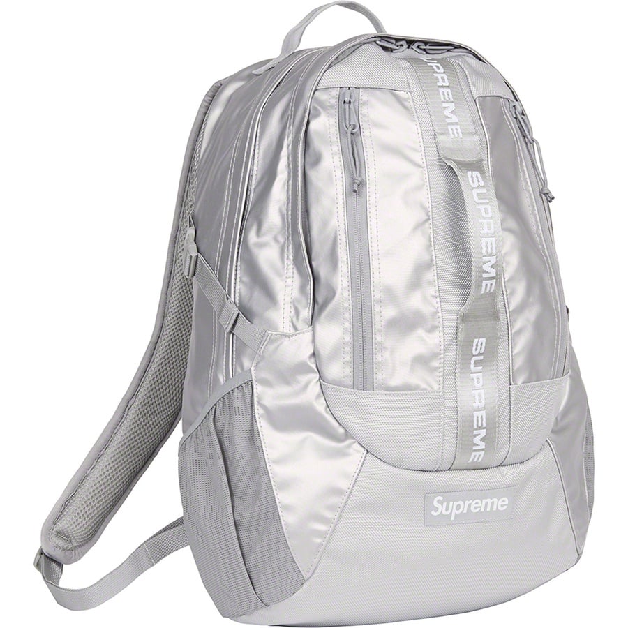 Details on Backpack Silver from fall winter
                                                    2022 (Price is $158)