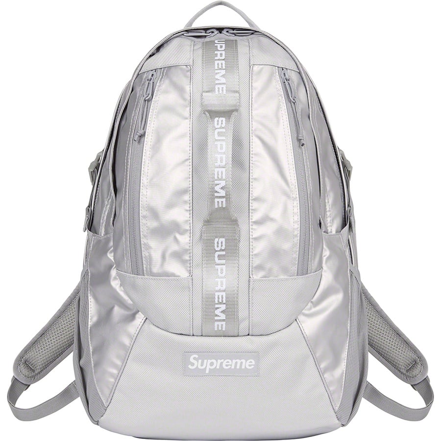 Details on Backpack Silver from fall winter
                                                    2022 (Price is $158)